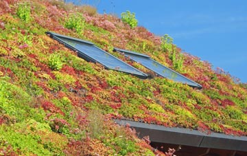 Horrocks Fold living roof systems